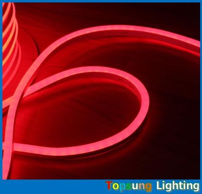 CE ROHS 承認 110V ミニ LED ニーオン フレックス ライト 祭り用