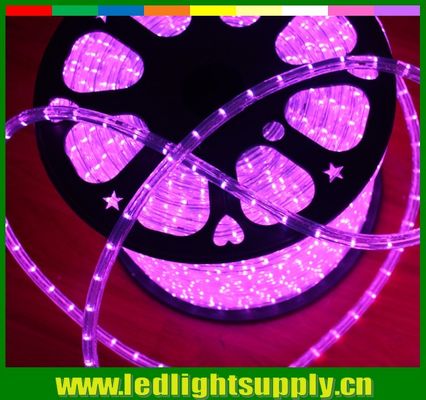 12/24v 1/2' 2ワイヤル LEDライト 屋外 クリスマスロープフレックスライト