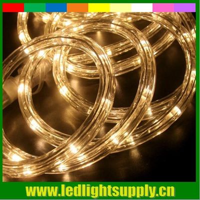 2本のワイヤーの暖かい白い無線ロープライト LEDロープ クリスマスライト 12mm直径