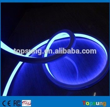 青い色 24v 飾り方 LED ネオンフレックスライト 庭のためのPVCチューブ