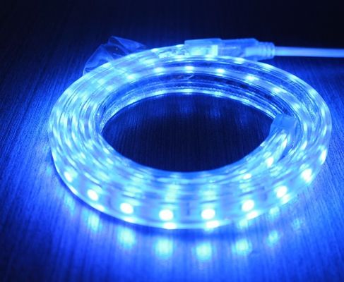 100m 230v AC LED ストライプ 5050 防水 切断可能なストライプ 光 柔軟な青色