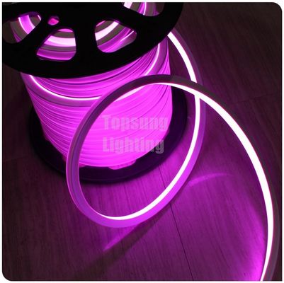 フラット発光 230V ピンク四角 16*16m LED照明 庭のためのネオンストライプ
