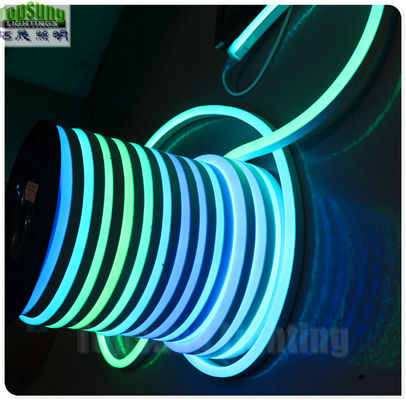 室外装飾 RGBデジタル LED ネオンフレックスライト CE ROHS