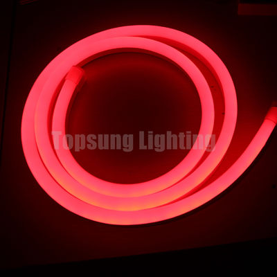 マジックRGB LEDネオンライト 24Vデジタルクリスマスライト 柔軟なLEDネオンチューブ