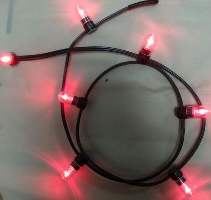 低電圧で電源を供給する LED ストリングライト ピンク色 クリスマス LED 100mストリング 666LED