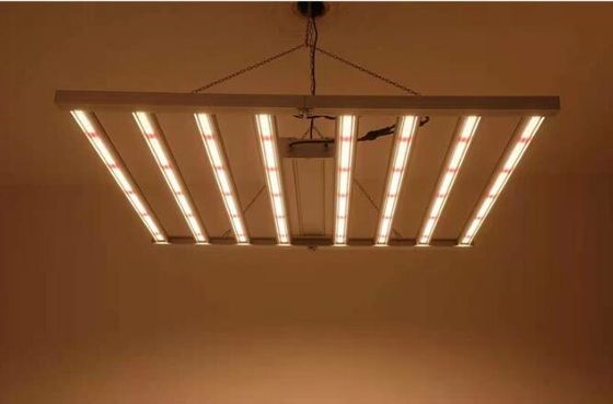 全スペクトル室内LED成長灯 植物のための成長灯 600w